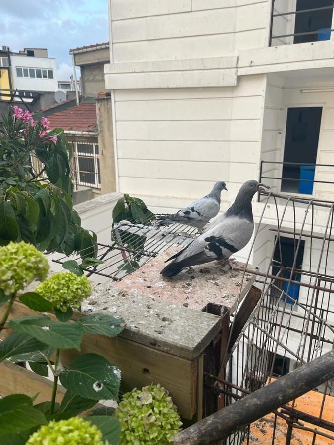 Central Apartment Kadikoy Terrace Bbq Close 2 Block Ferry Bull Metro Nighlife Κωνσταντινούπολη Εξωτερικό φωτογραφία