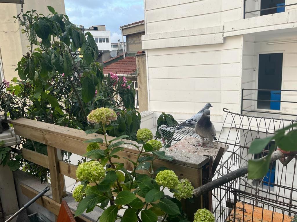 Central Apartment Kadikoy Terrace Bbq Close 2 Block Ferry Bull Metro Nighlife Κωνσταντινούπολη Εξωτερικό φωτογραφία