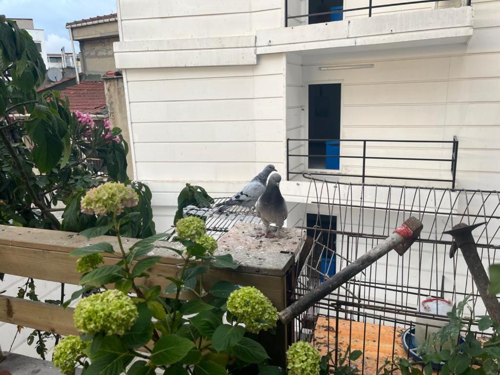 Central Apartment Kadikoy Terrace Bbq Close 2 Block Ferry Bull Metro Nighlife Κωνσταντινούπολη Εξωτερικό φωτογραφία